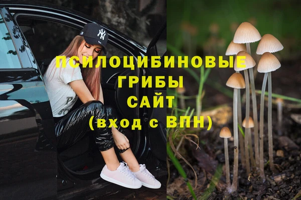 винт Абинск