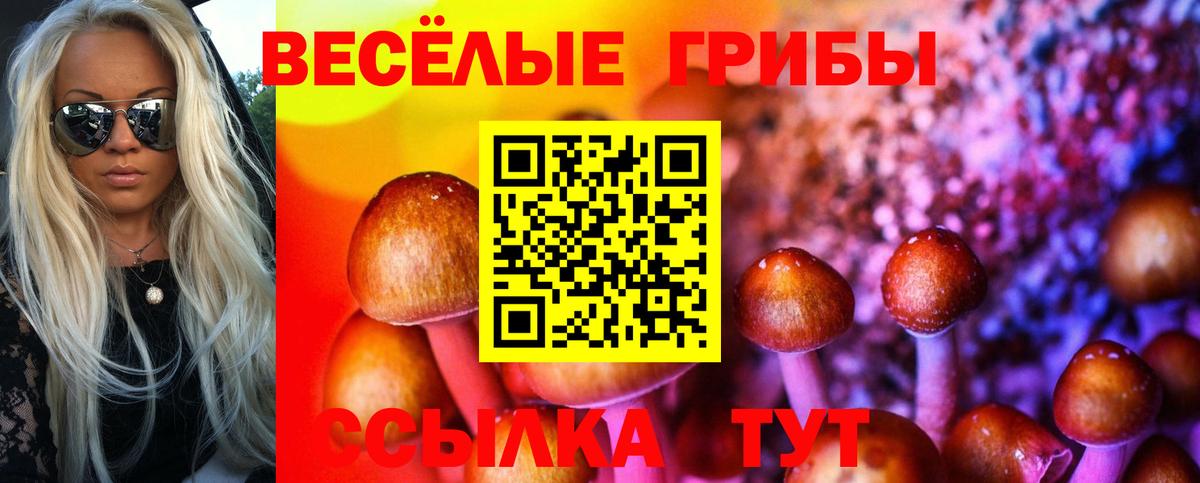 Таганрог  Галлюциногенные грибы Psilocybe  Вход с VPN  Псилоцибиновые грибы Psilocybine cubensis 